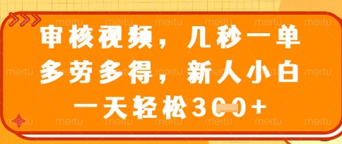 最新审核视频，几秒一单，多劳多得，新人小白一天轻松3张【揭秘】-轻创终点站
